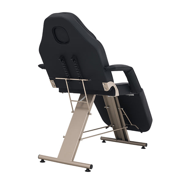 DSSE Hydra Treatment Bed Champagne Gold Black Rear Side View