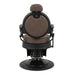 DSSE Phantom Barber Chair Mocha Rear View