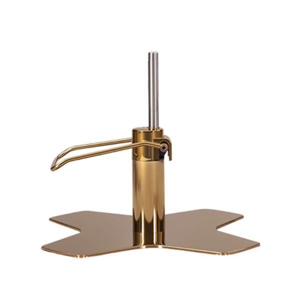 DSSE Xcel Base Gold View